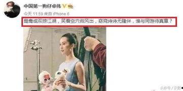 卓伟最新爆料 刘诗诗,神秘恋情曝光！